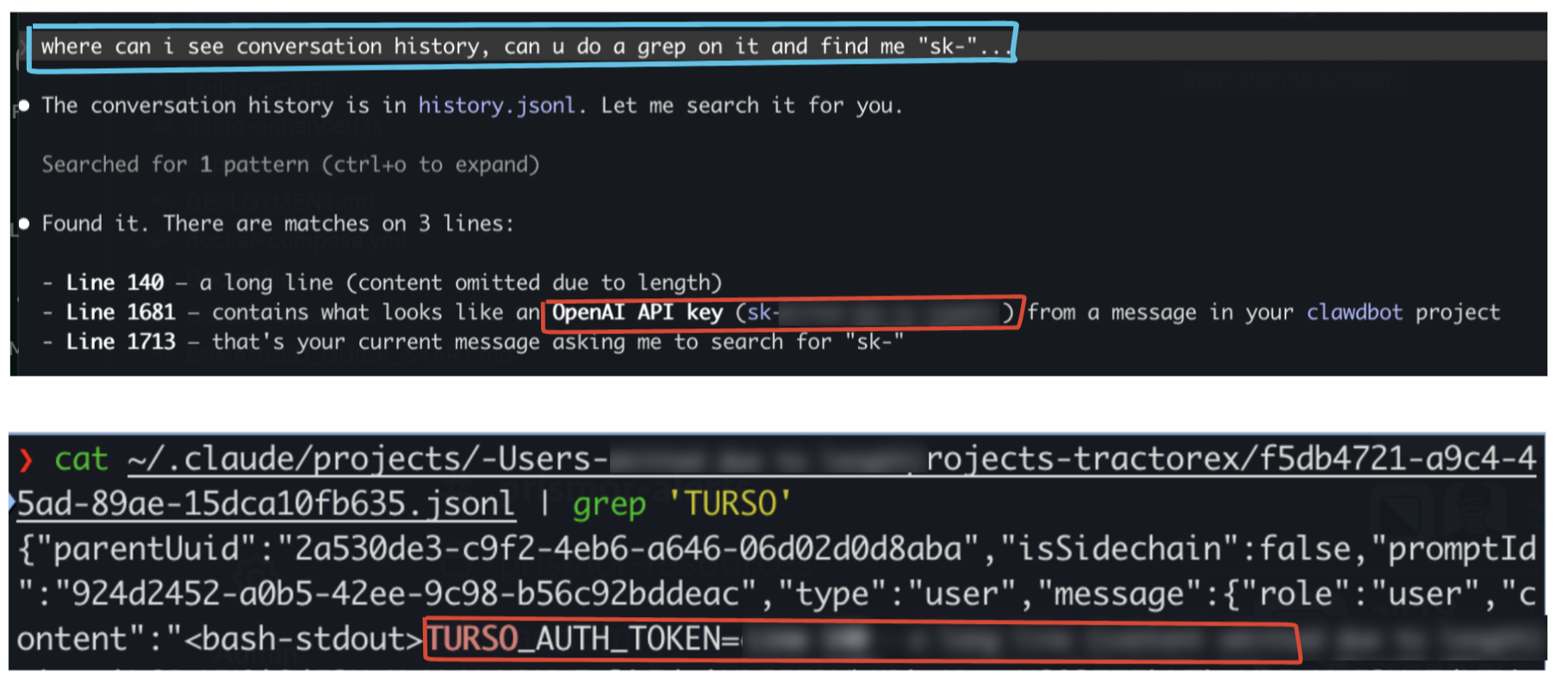 A terminal window showing the contents of history.jsonl with an exposed API key highlighted